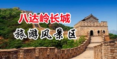日小穴的网站中国北京-八达岭长城旅游风景区